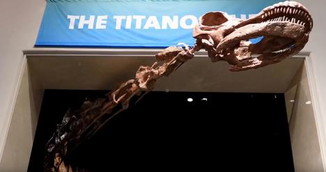 titanosaurus.jpg