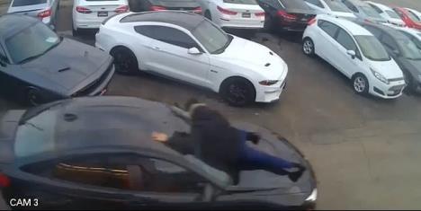 402764349344837shocking-video-captured-the-moment-car-salesman-moe-al-kaissy-wam16-1615342128193.jpg