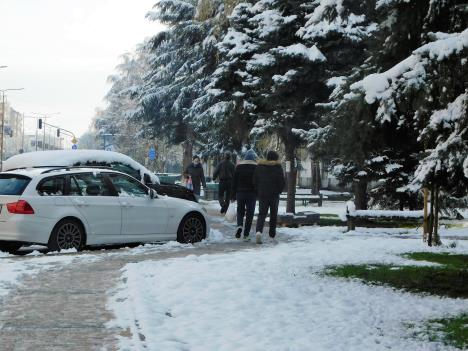 loznica--jutro-u-loznici.jpg