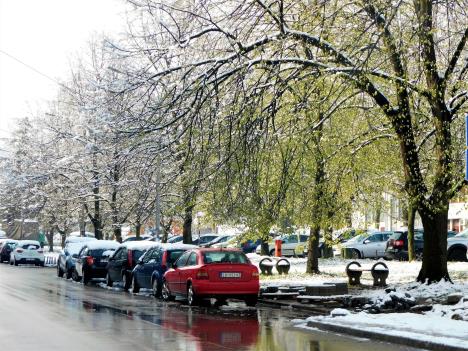 loznica--april-li-je-.jpg