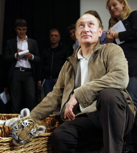 putin-tigar.jpg