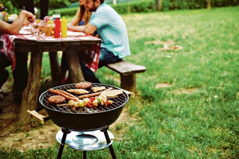 0803-stockphotofriendsenjoyingbarbecuetimeinthenature439878460.jpg