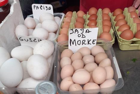 jaja-pijaca-2.jpg