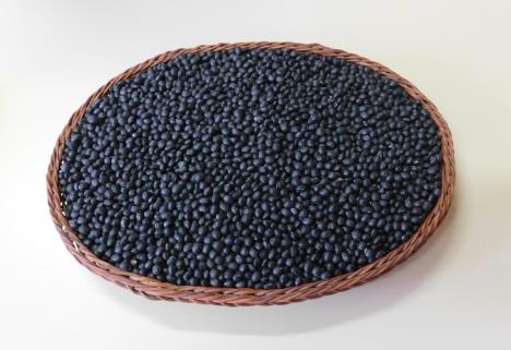soybeannsblackstarinstoffieldvegetcrops1920x1316.jpg