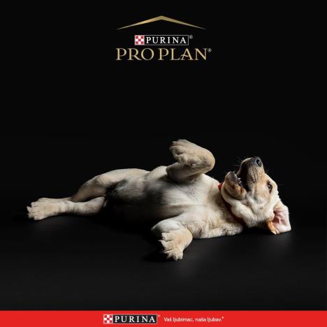 purina-pro-plan-puppy-1.jpg