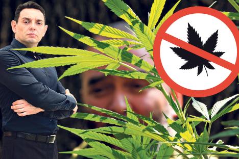 legalizacija-marihuane--foto-dragana-udovicic--jose-mendez-epa-shutterstock.jpg