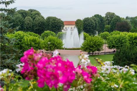 to-grada-loznice-banja-koviljaca-park.jpg