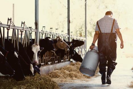 stockphotofarmerasianareholdingacontainerofmilkonhisfarmwalkingoutofthefarm1033346143-22-06-2021.jpg