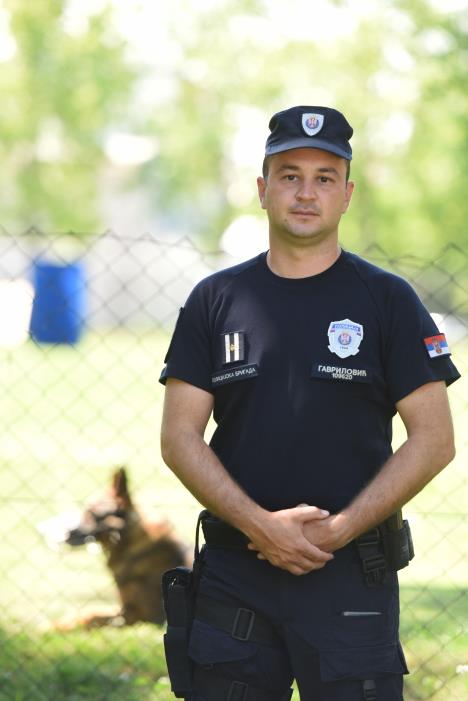 policijski-psi-24-news1-zorana-jevtic.jpg