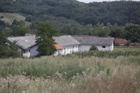 2003-veljko-farmer-nikola-andjic.jpg