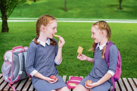 stockphotopicnictimetwocuteschoolgirlsaresittingonabencheatingbreakfastandsmilingthesisters1808067199.jpg