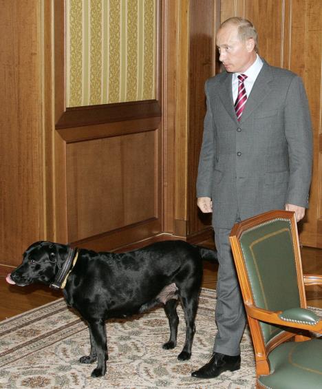 vladimir-putin-labrador.jpg