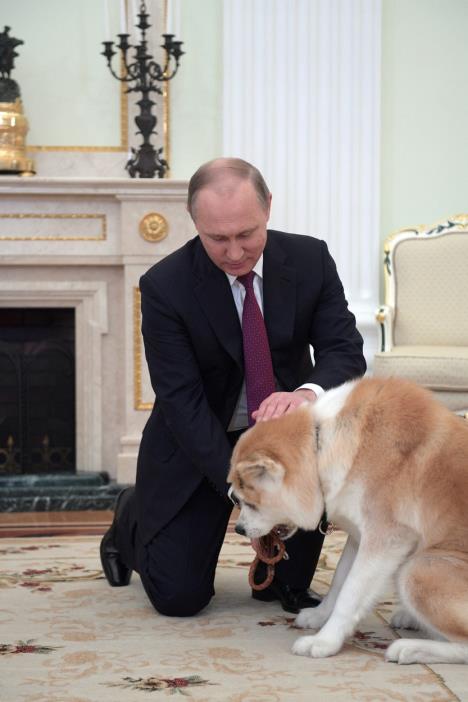 vladimir-putin-akita-2.jpg