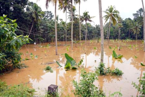 indija-kerala-poplave.jpg