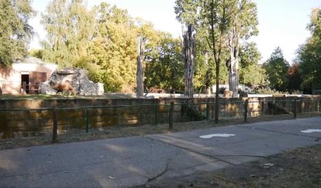 palic-zoo.jpg