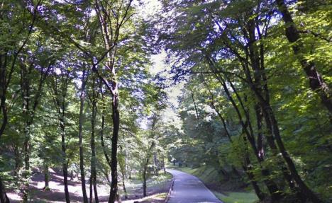 kosutnjak-foto-instant-google-street-view-printsc.jpg