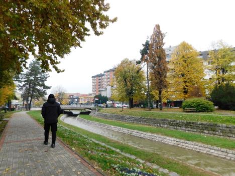 loznica--sve-manje-pozitivnih.jpg