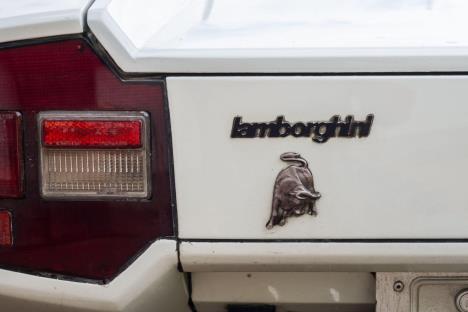 lamborgini-logo.jpg