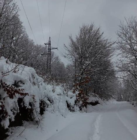 loznica--sneg-prekinuo-struju.jpg