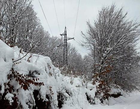 loznica--stize-elektrika.jpg