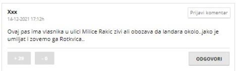 rotkvica.jpg