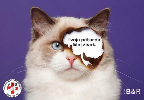 tvojapetardamojzivot2.jpg