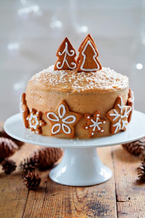 stockphotochristmascakewithgingerbreaddecorations339547121.jpg