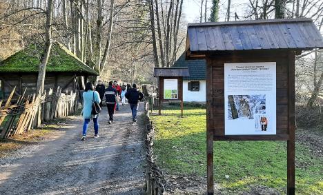 loznica--pored-saborista.jpg