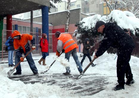 12bg-kom.policija.jpg