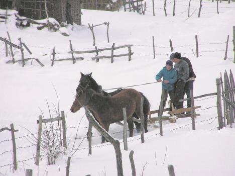 sjenica-dec.-2005.-041.jpg