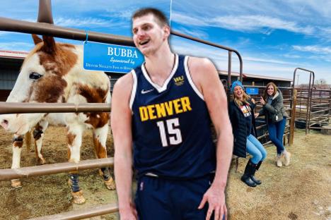 jokic.jpg