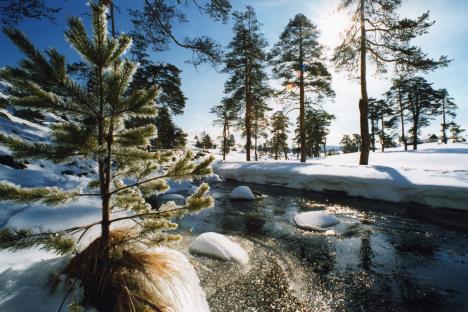 zlatibor.jpg