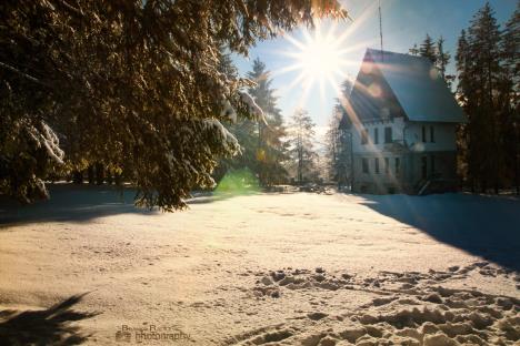 zlatibor-by-branko-radicevic.jpg