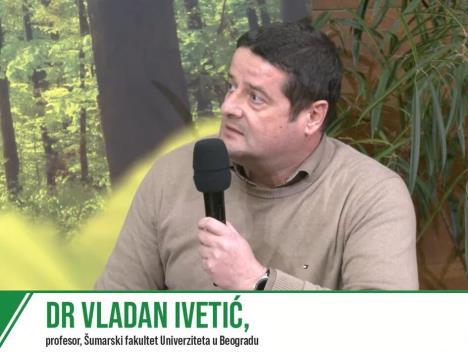 vladan-ivetic.jpg