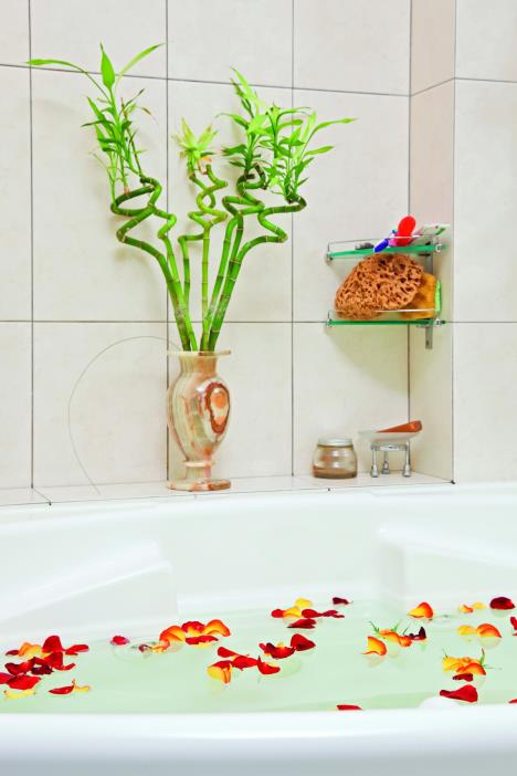 bambus--stockphotopartofbathroomwithrosepetalsfloatinginwater57343774-sm.jpg