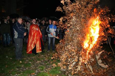 loznica-badnjak.jpg