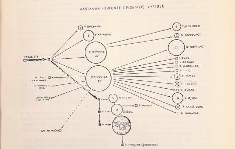 1607-sirenje-variole-zdravstvena-zastita.jpg