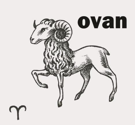 ovan.jpg