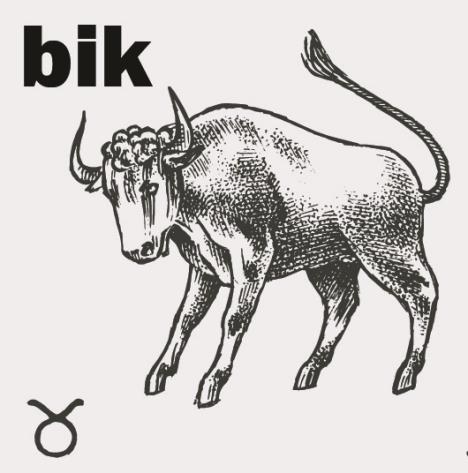 bik.jpg