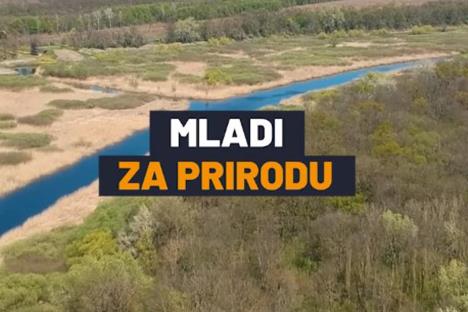 mladi-za-prirodu.jpg