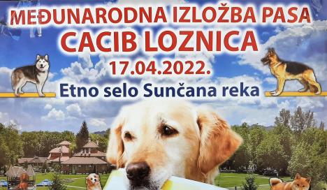 loznica--na-suncanoj-reci.jpg