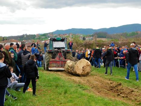 loznica--vuca.jpg