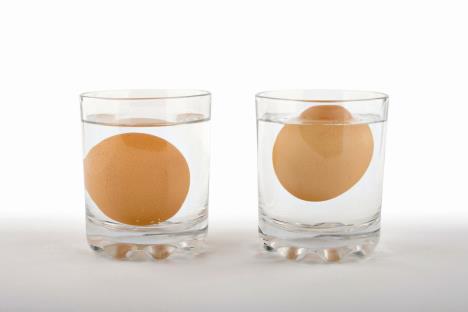 stockphototwoglassesofwaterwithafresheggontheleftandarotteneggontherightsideonwhite1099495331.jpg