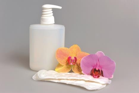 sta-kad-dodju-oni-dani--stockphotointimategeldispenserpumpplasticbottleandsanitarytowelwithorchidflowersongray192173534.jpg