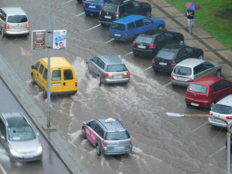 loznica--za-amfibije.jpg