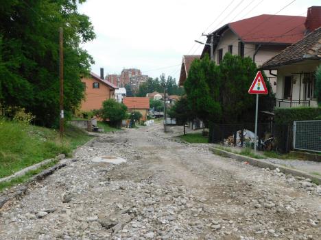 loznica--nadaju-se-asfaltu.jpg