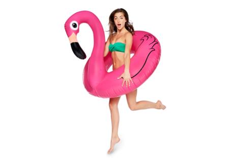 flamingo-1.jpg