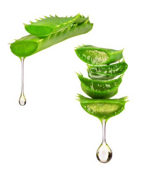 sok-od-aloe-shutterstock-490921561.jpg