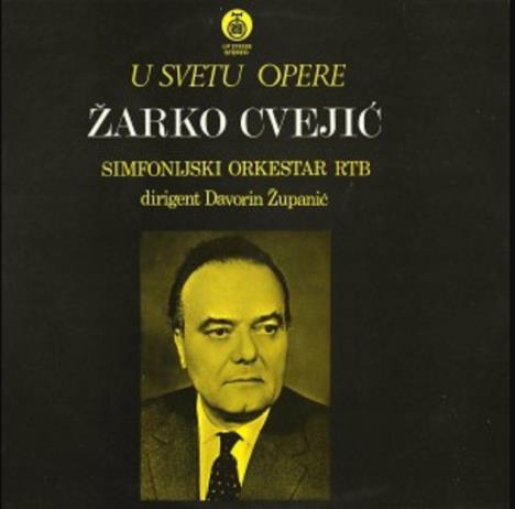 zarko-cvejic.jpg