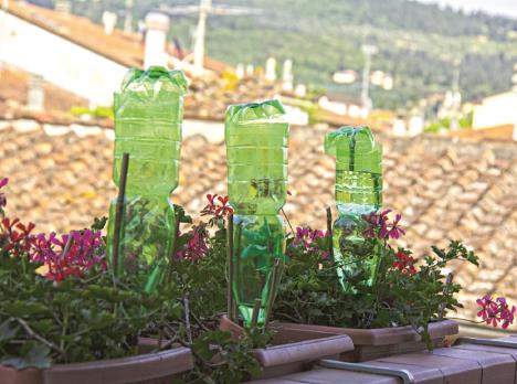 2-samozalivanje--stockphotoplasticbottlesforwateringflowersonthebalconyasirrigationsystem1745648804-1.jpg